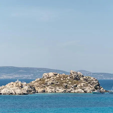 Kontos * מיקרי ויגלה