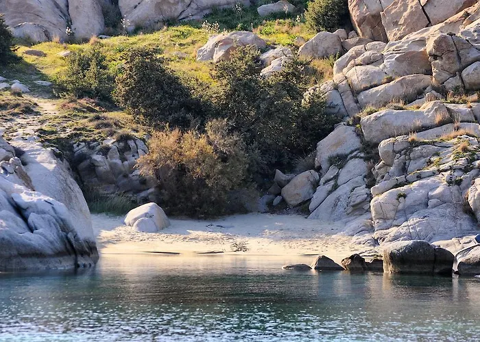 Kontos מיקרי ויגלה